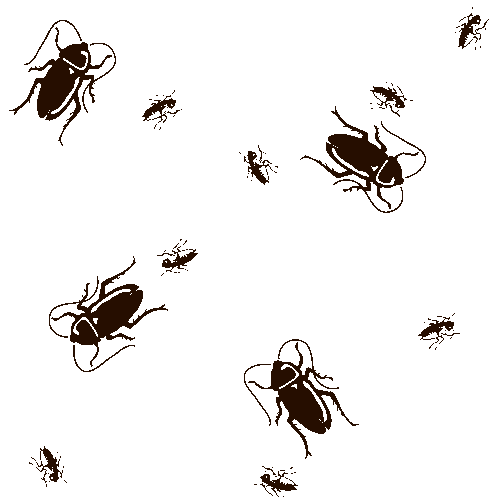 500x500 Cockroach Original Background Images Clip Art