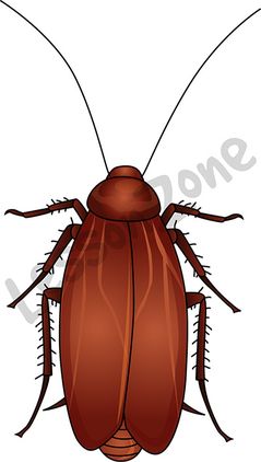 239x422 Top 73 Cockroach Clipart