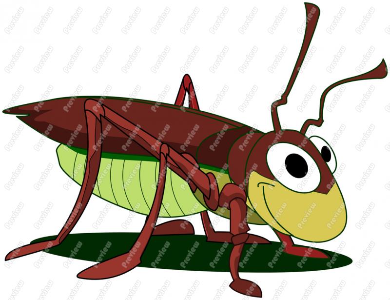 800x615 Cockroach Character Clip Art