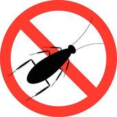 170x170 Cockroach Clip Art