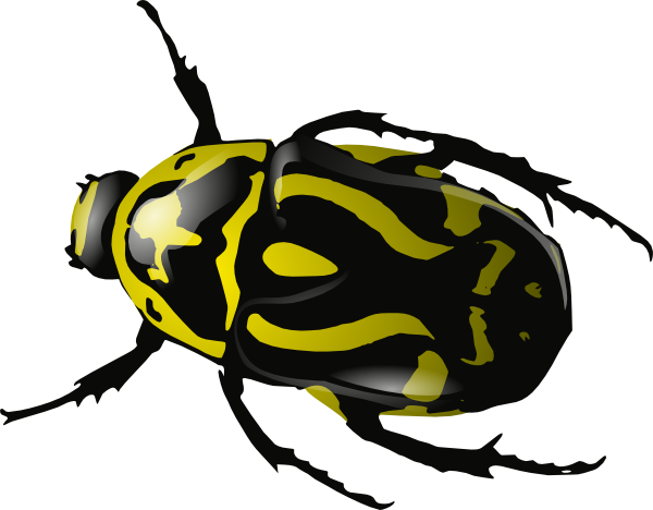 600x468 Cockroach Clipart
