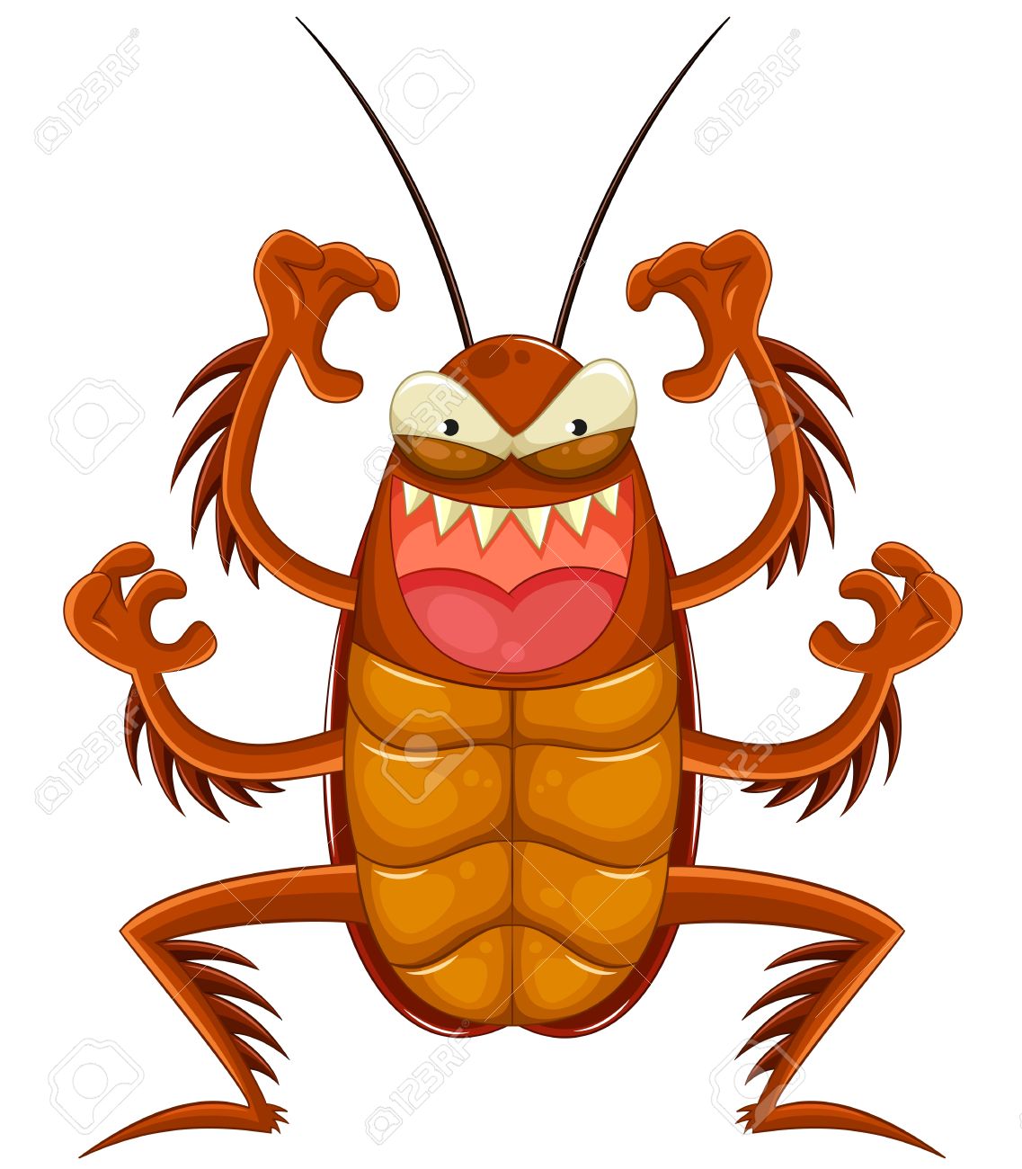 1137x1300 Cockroach Clipart Bug