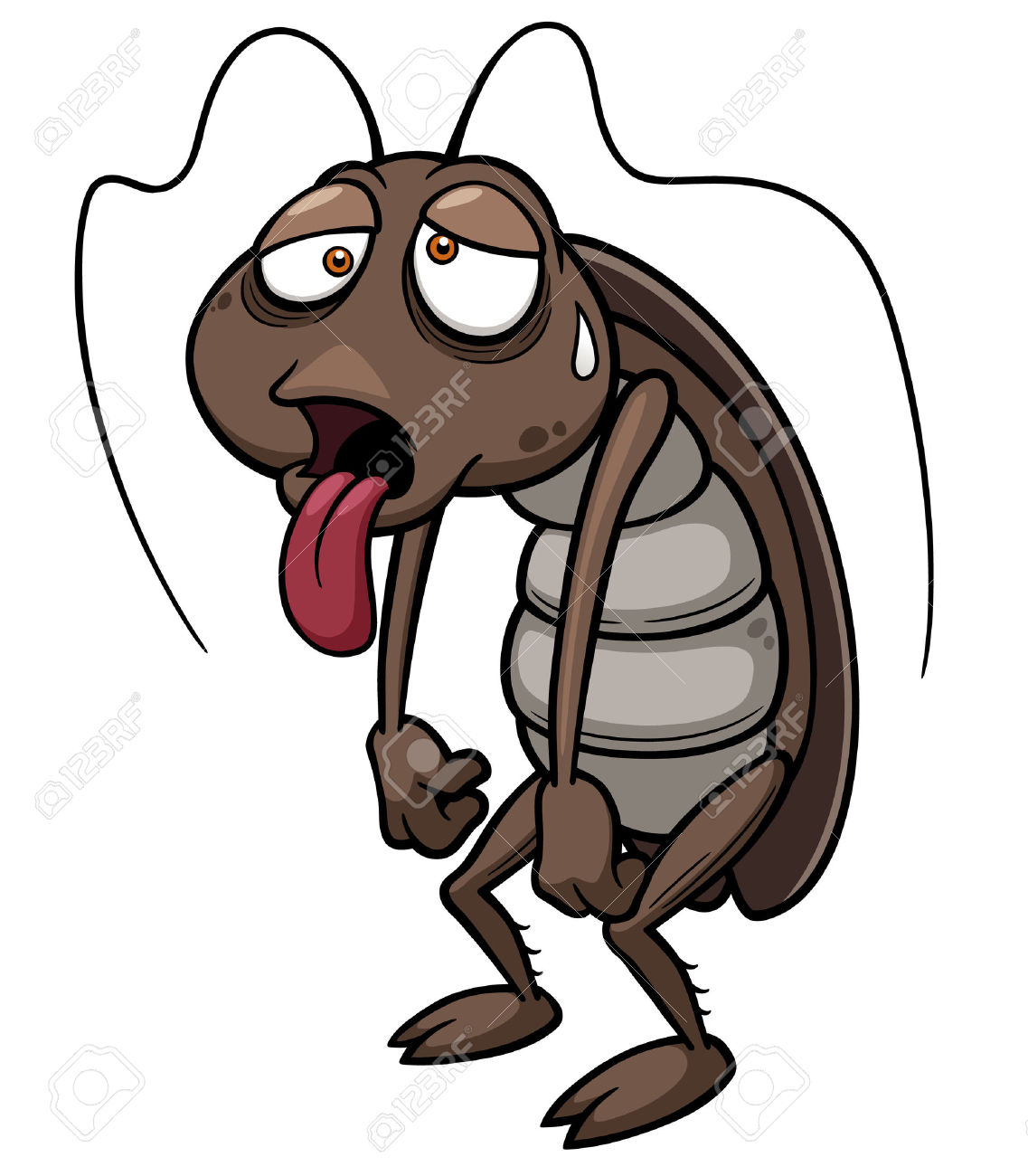 1137x1300 Cockroach Clipart Cartoon