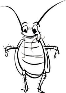 213x300 Cockroach Clipart Sketch