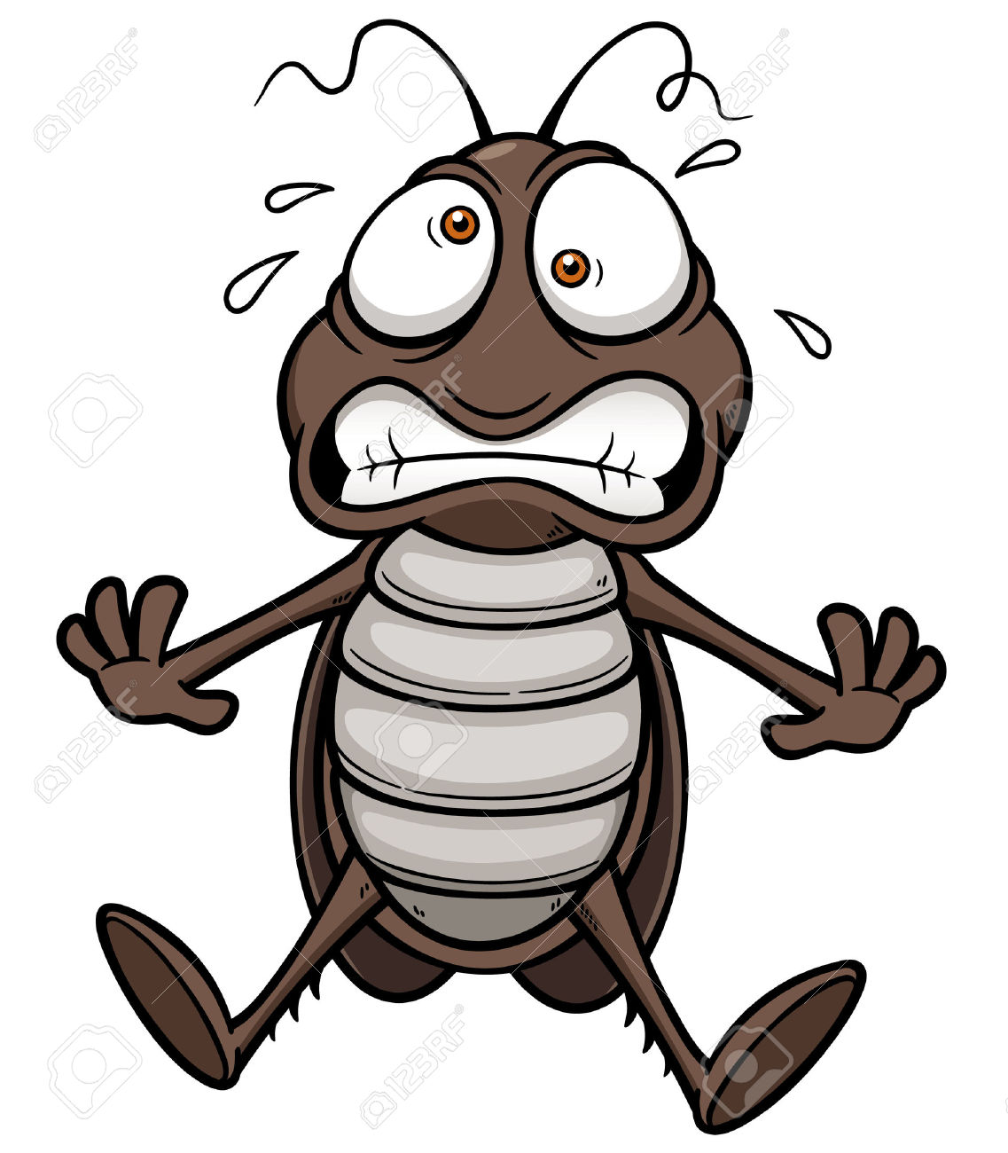 1137x1300 Cockroach Clipart Vector