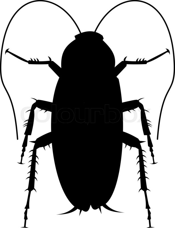 615x800 Illustration Of A Cockroach Silhouette On White Background Stock
