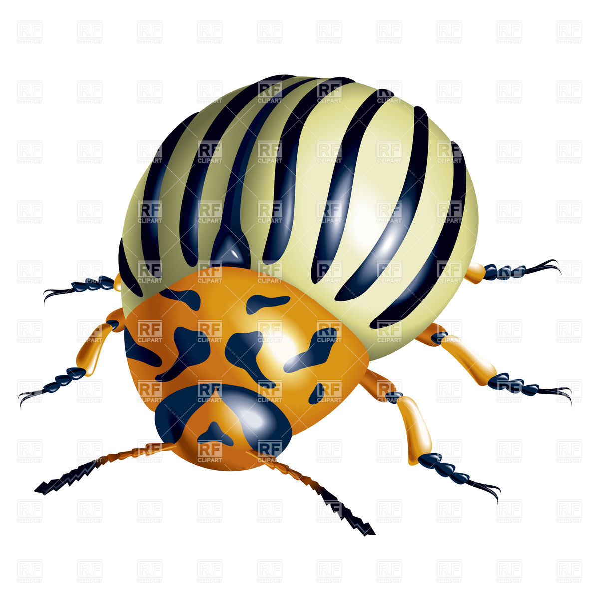 1200x1200 Brown Snout Beetle Royalty Free Vector Clip Art Image