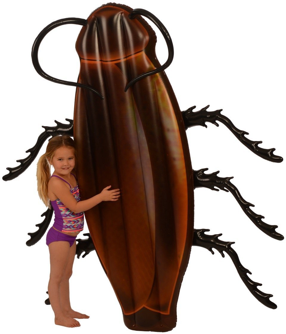 960x1123 Kangaroo's Gigantic Cockroach Raft 6' Pool Float For Kids