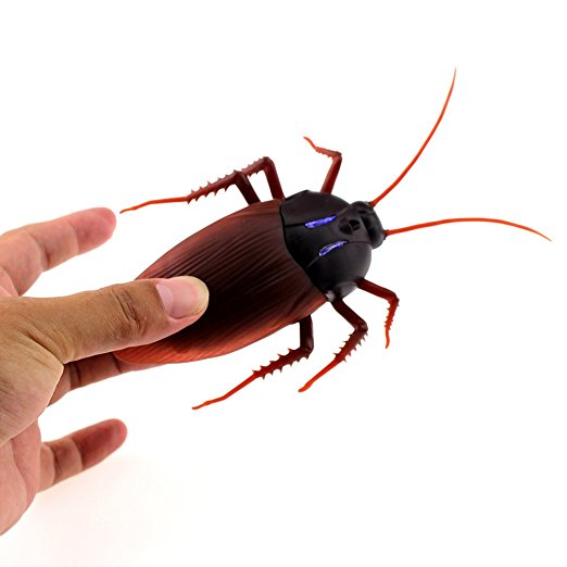 522x522 Tipmant Rc Cockroach Insect Bug Remote Control Car