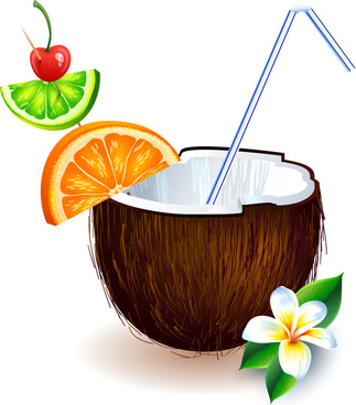 323x368 Coconut Fruit Free Vector Download (2,295 Free Vector)