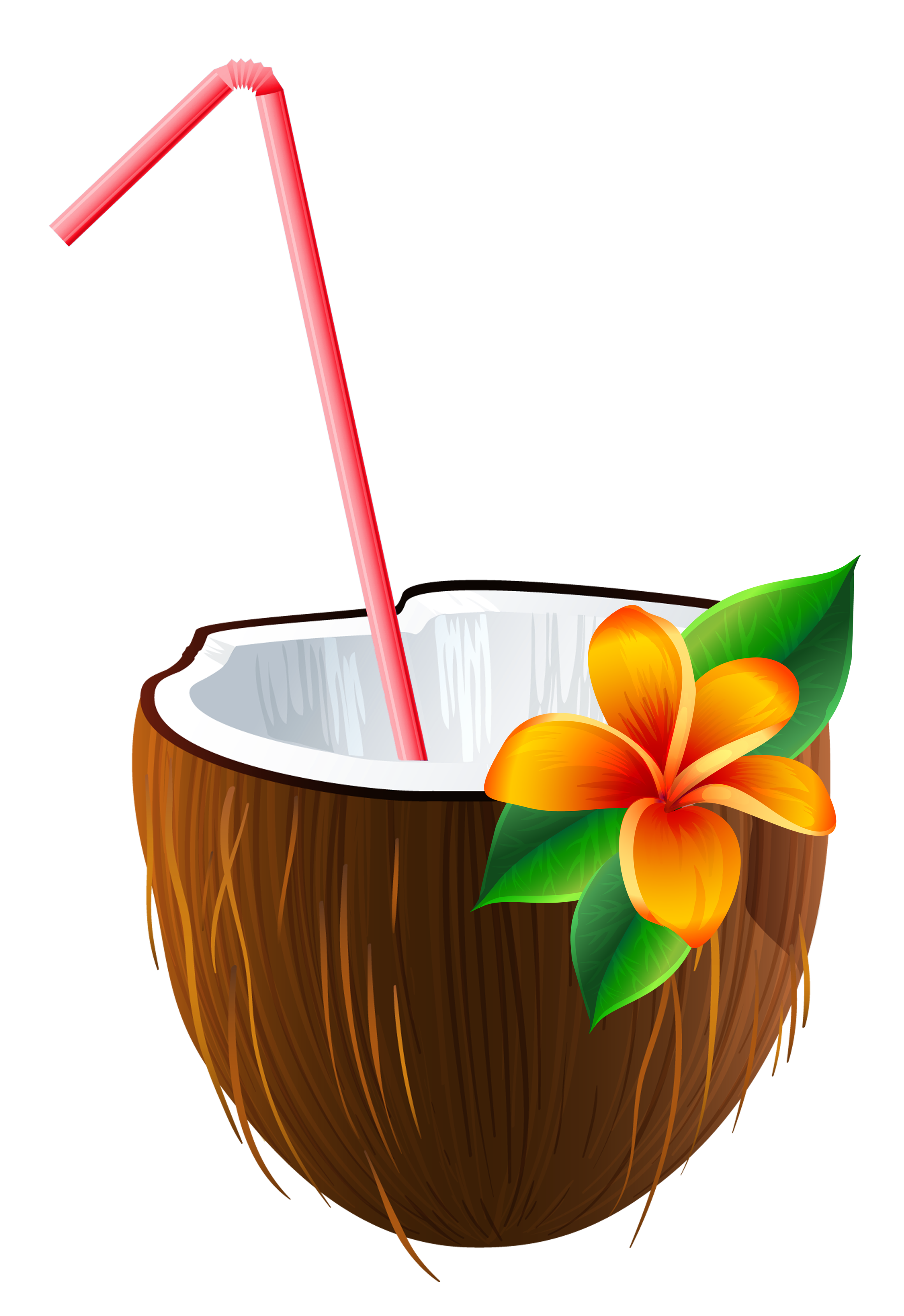 2322x3381 Exotic Coconut Cocktail Png Clipart Imageu200b Gallery Yopriceville