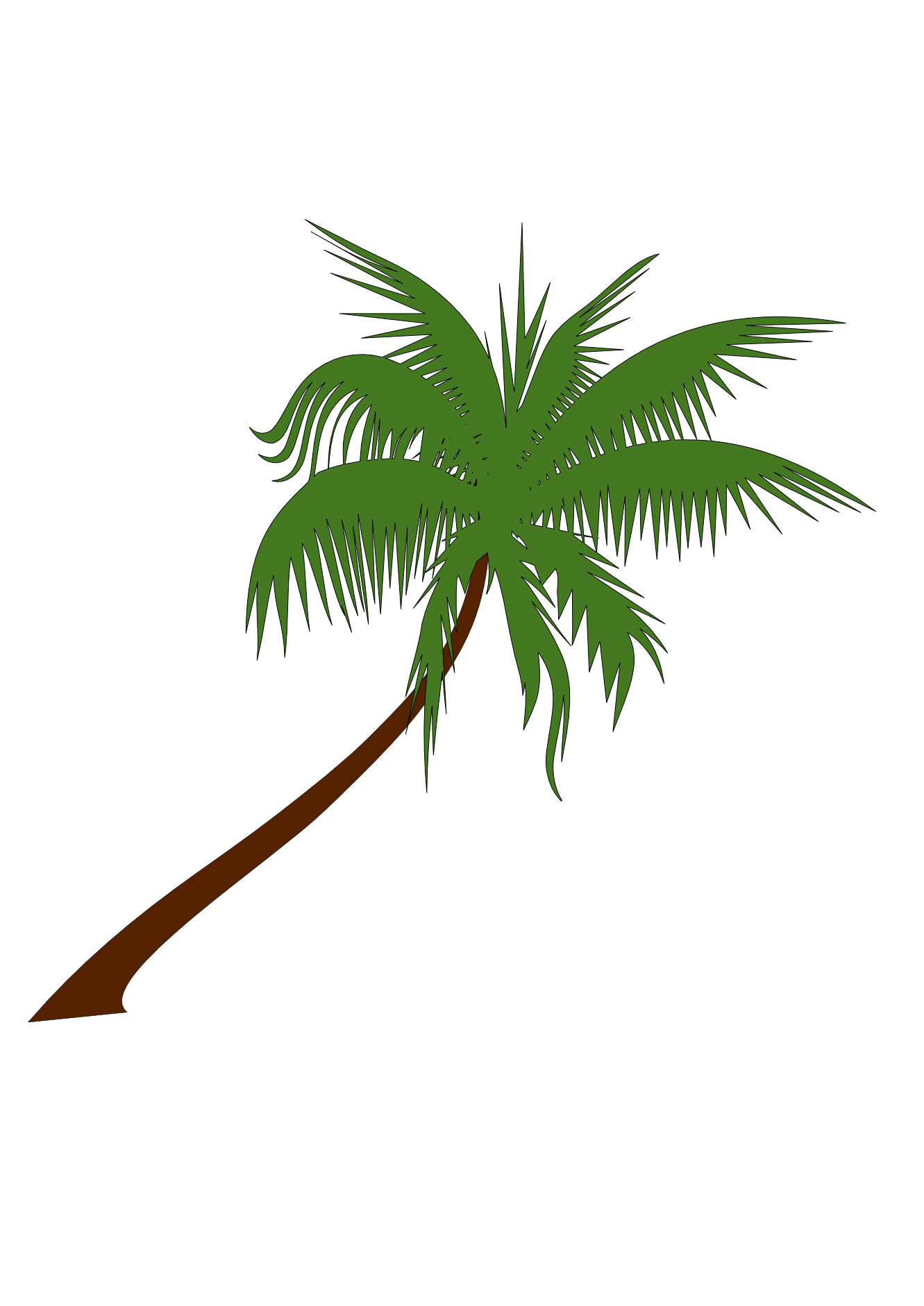 1331x1882 Microsoft Clipart Coconut