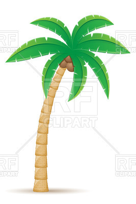 267x400 Tropical Coconut Palm Tree Isolated On White Background Royalty