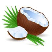 170x170 Coconut Clip Art