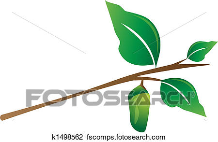 450x294 Clipart Of Cocoon Hanging From Tree Branch K1498562