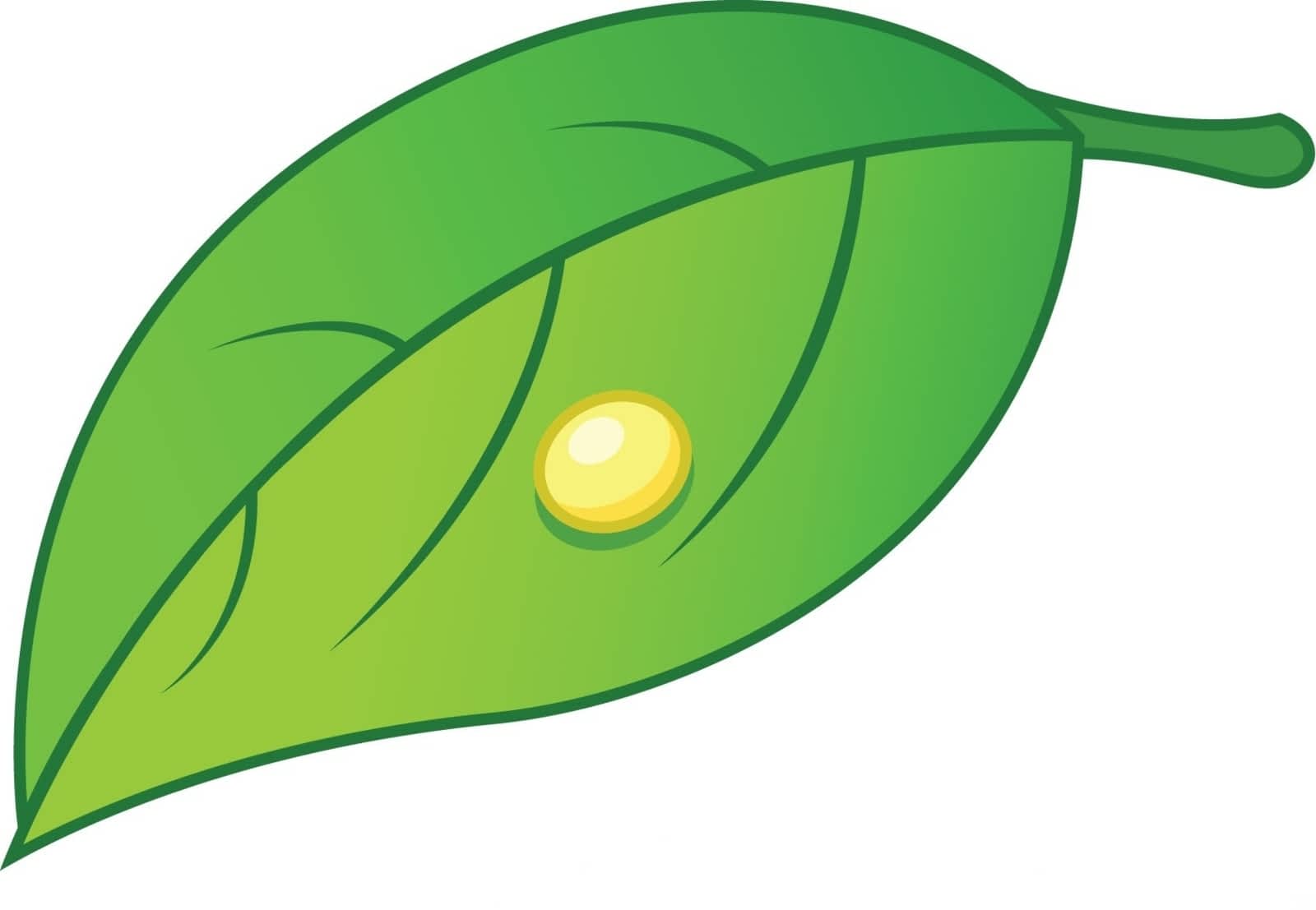 1600x1107 Cocoon Childcare