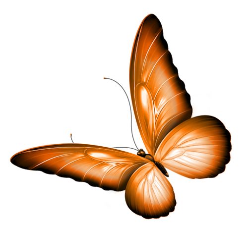 500x462 619 Best ~ Butterflies ~ Images Art Ideas