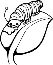 180x218 Worm Clip Art, Vector Worm