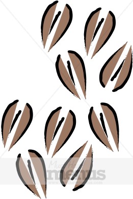 261x388 Coffee Beans Clip Art Coffee Clipart