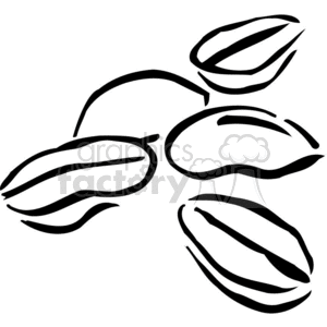 300x300 Royalty Free Bean Outline 383131 Vector Clip Art Image