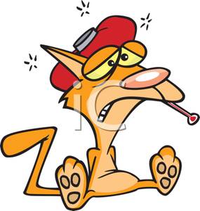 285x300 Sick Cat With A Cold Pack And A Thermometer