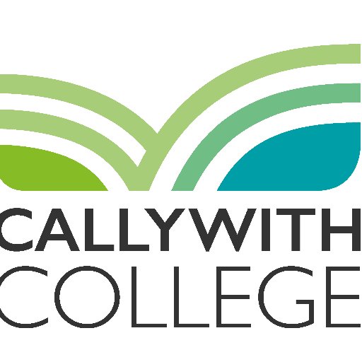 512x512 Callywith College (@callywith) Twitter