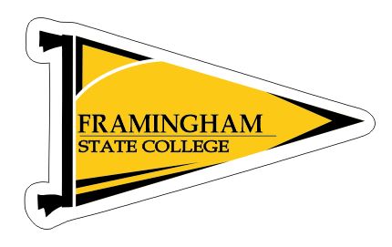 430x271 Pennant Shaped Magnets