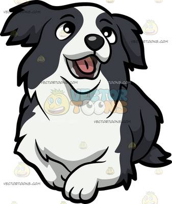 337x400 Border Collie Clipart Red
