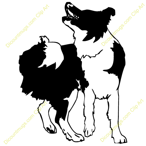 500x500 Border Collie Clipart Collie Dog