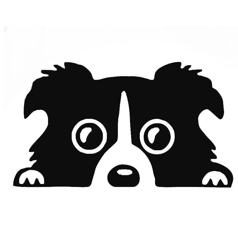 800x800 Border Collie Clipart Cute
