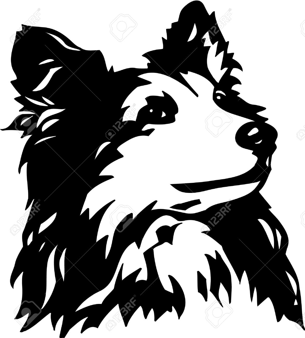 1173x1300 Border Collie Clipart Sheepdog