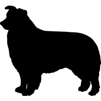 200x200 Collie Clipart Black And White
