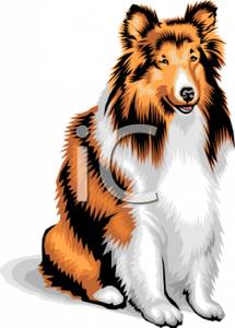215x300 Collie Clipart Collie Dog