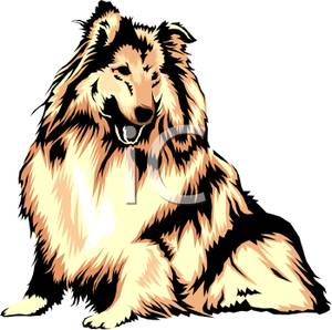 300x298 Colorful Cartoon Of A Collie Dog