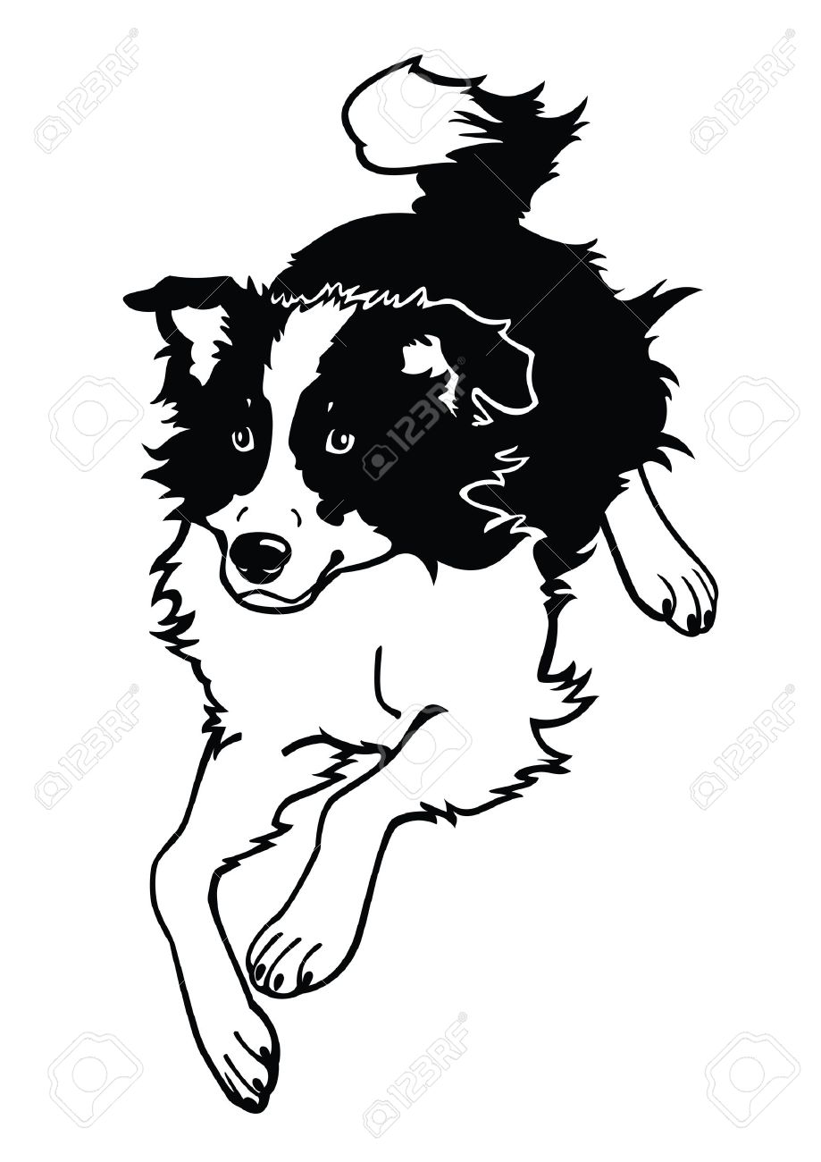 919x1300 Sheepdog Clipart Border Collie