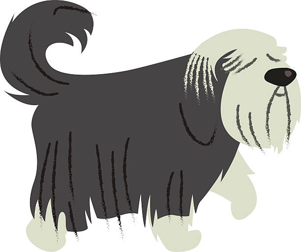 612x513 Bearded Collie Clipart Cartoon
