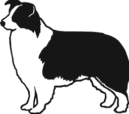 256x225 Border Collie Clip Art