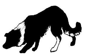 324x213 Border Collie Clip Art