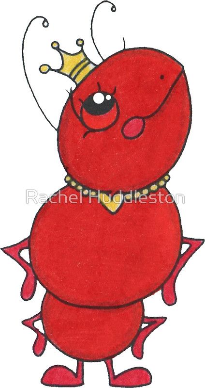 424x800 Ants Clipart Queen Ant