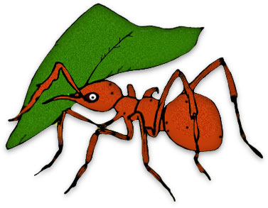 377x293 Ants Clipart Colony Ant