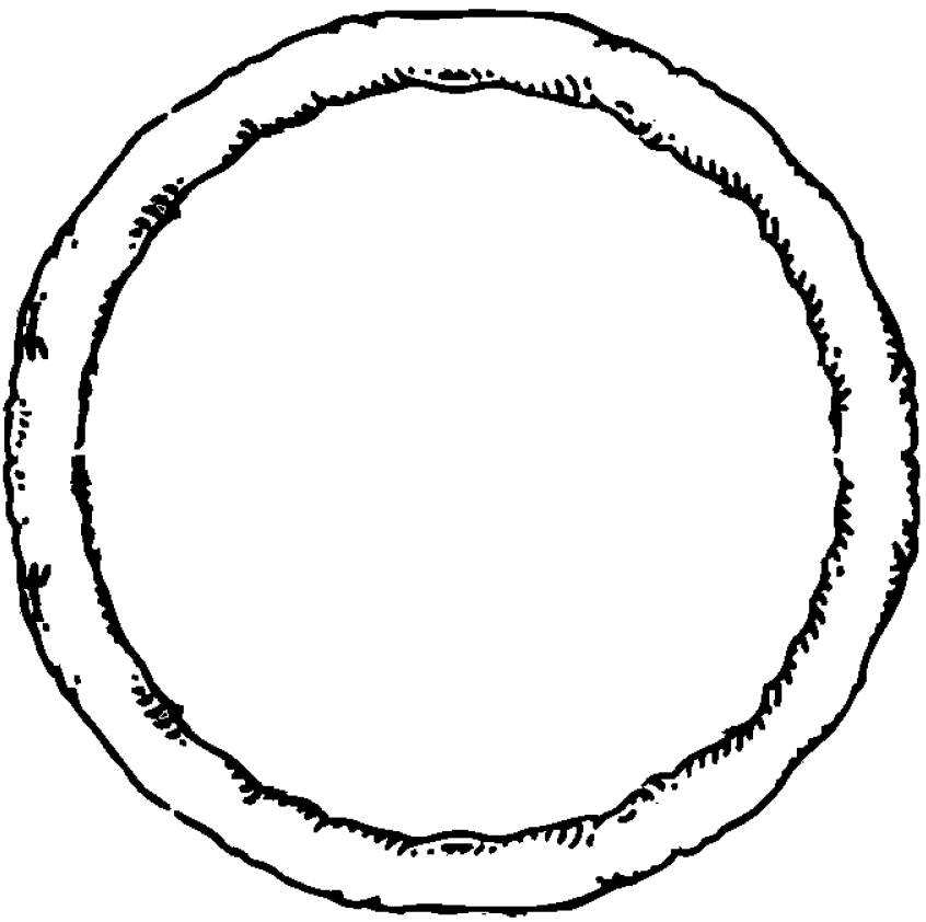 846x842 Pizza Clipart Pizza Base