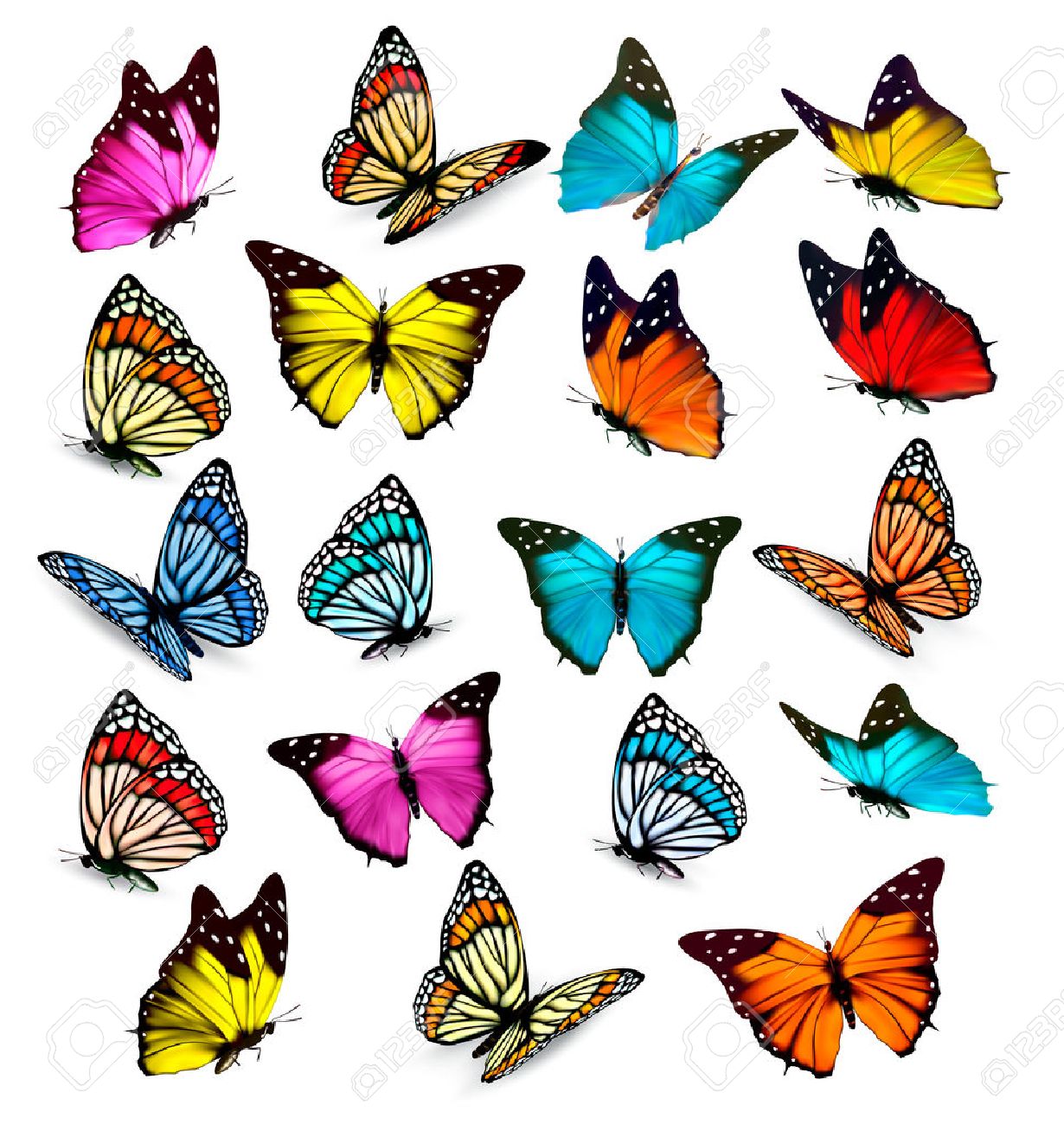 1230x1300 Big Collection Of Colorful Butterflies. Vector Royalty Free