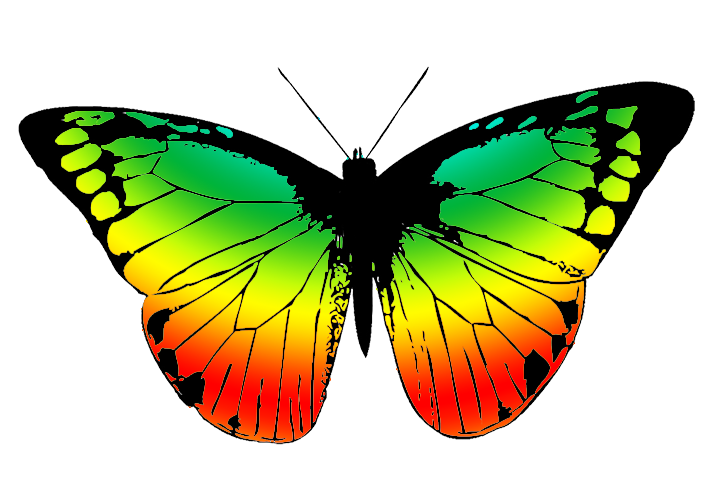 709x496 Butterfly Clipart