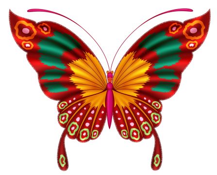 447x362 Colorful Clipart Colorful Butterfly