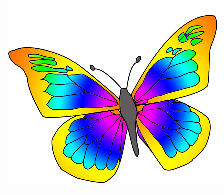 787x685 Pice Clipart Colorful Butterfly