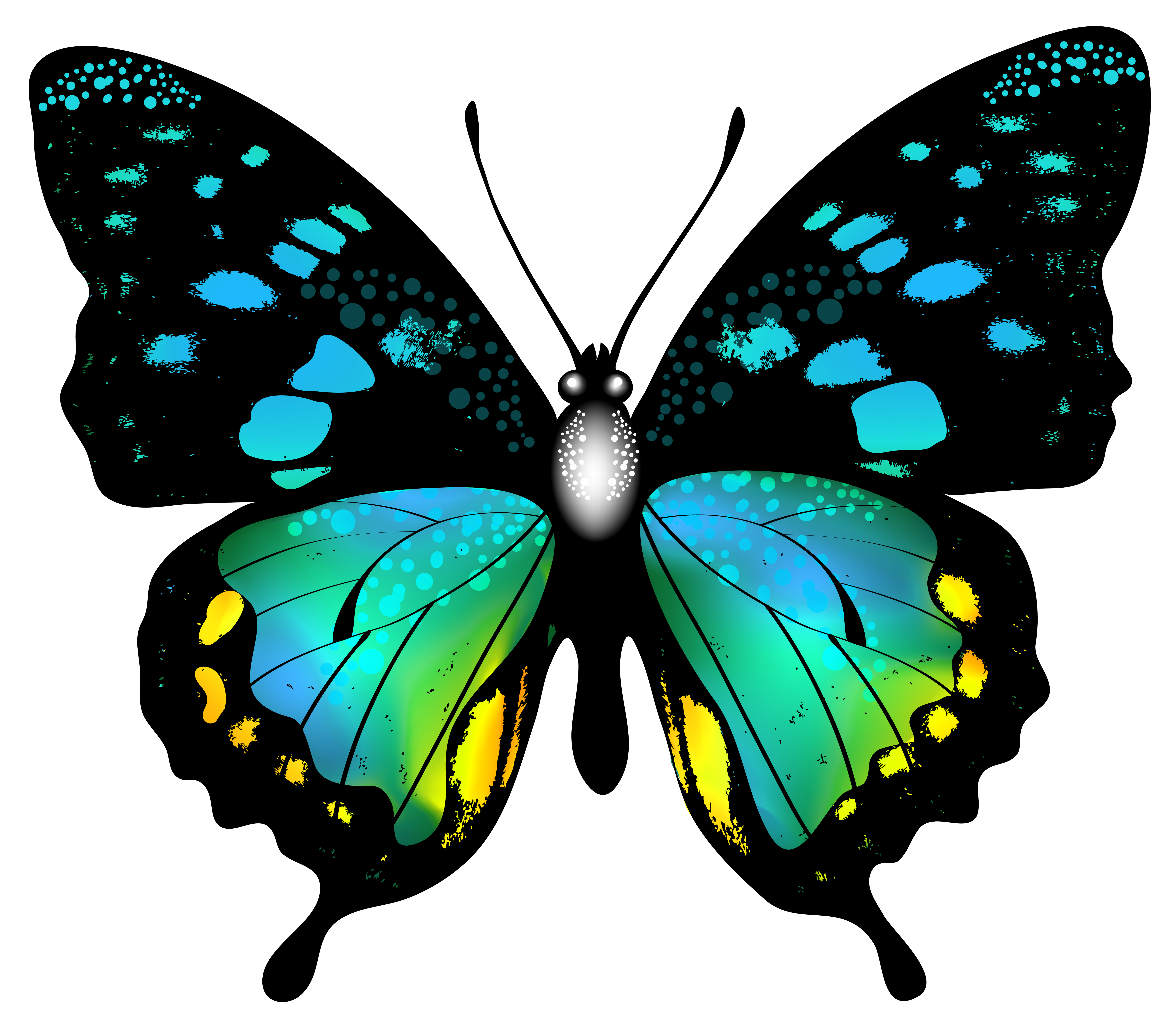 7394x6401 Pin By Merryann Palmer On Butterflies Butterfly