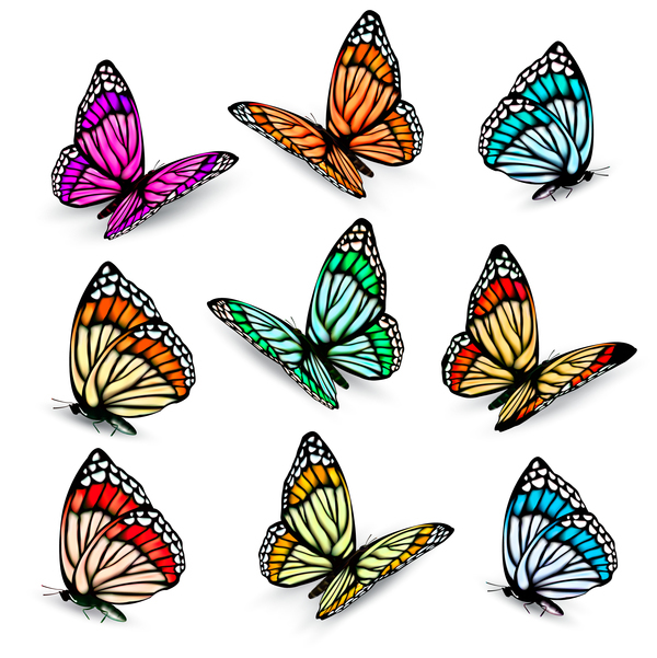 600x601 Set Of Colorful Butterflies Vector Material 09