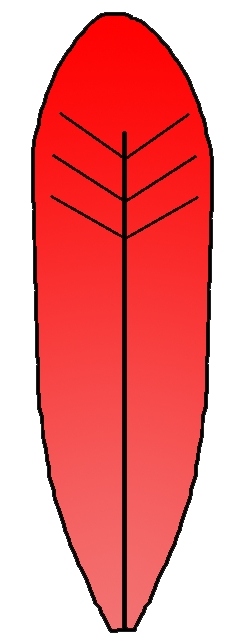 250x641 Colorful Turkey Clipart Clipart Panda