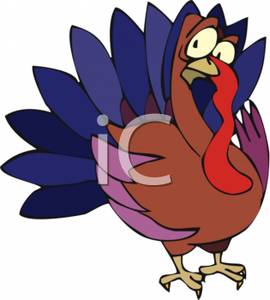 270x300 Of A Colorful Turkey With A Concerned Look