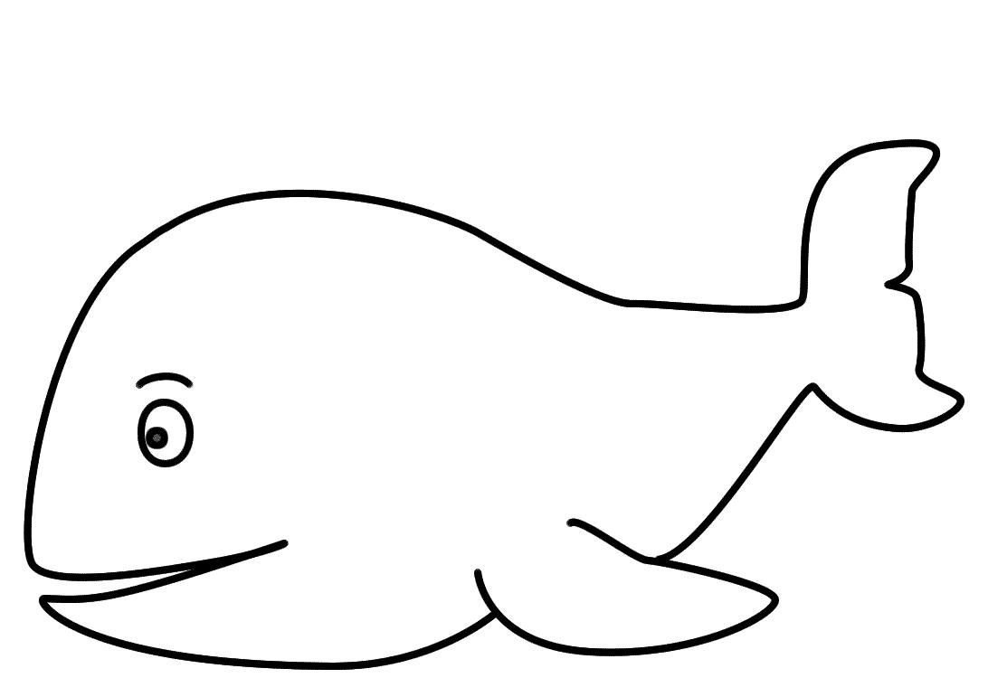 1092x750 Coloring Sheet Whale Coloring Sheet